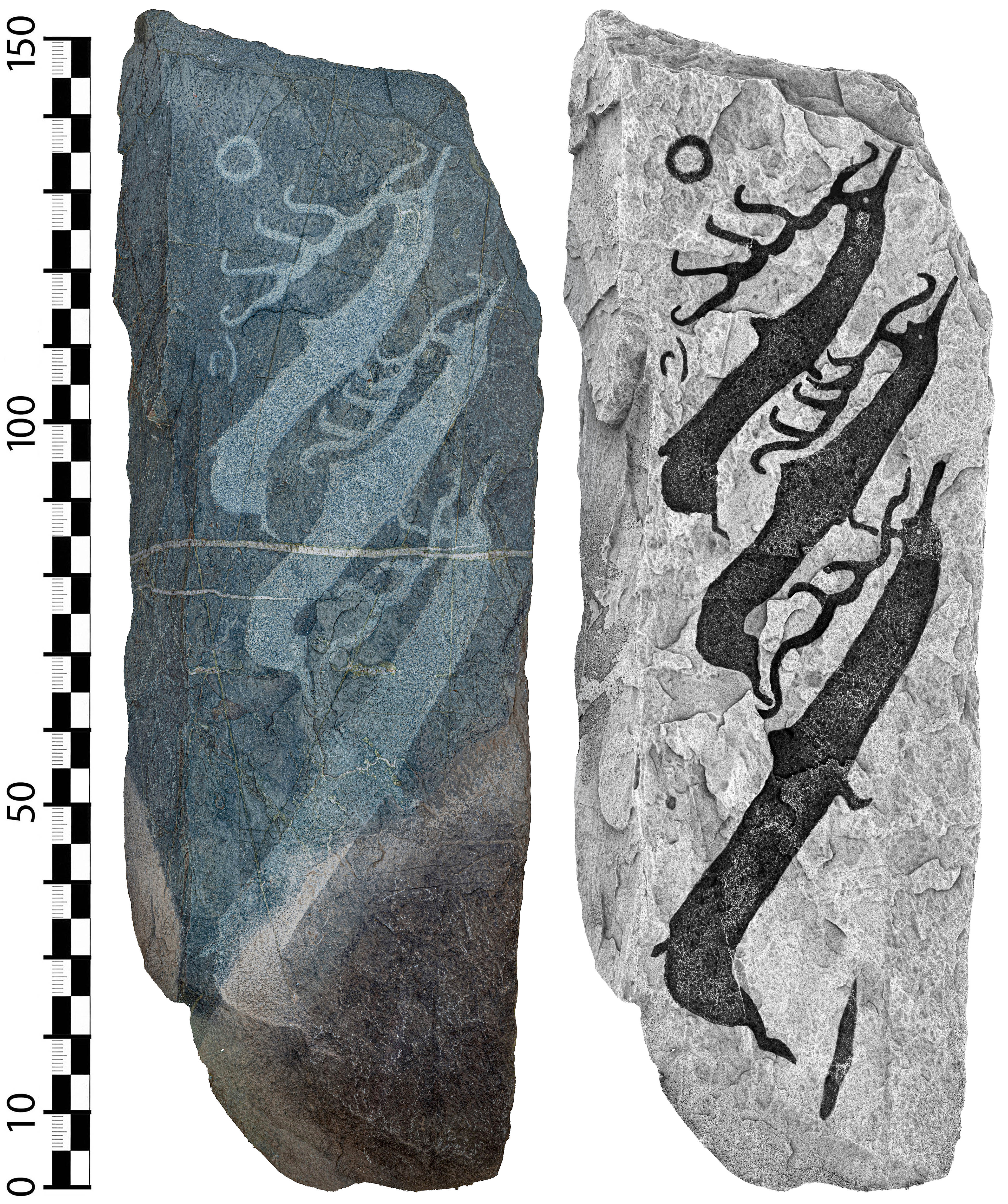 Рендер ортогональных видов